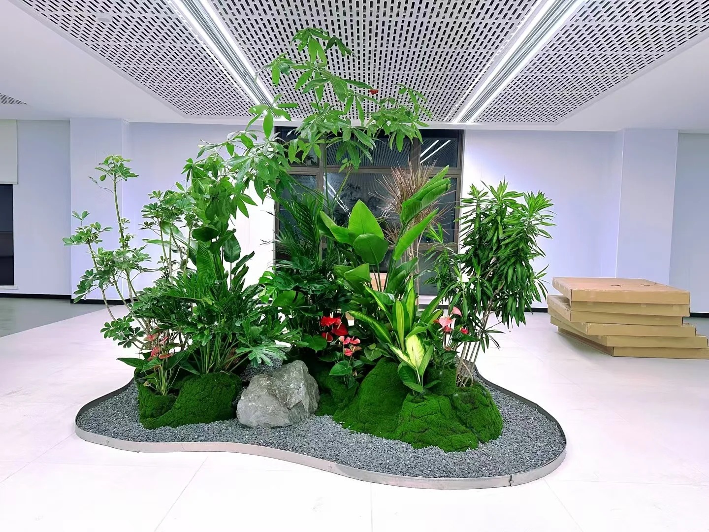 余姚植物租赁公司，绿植装扮办公环境的秘密武器